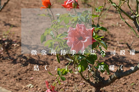 微念所持李子柒公司股權(quán)被凍結(jié) 股權(quán)被凍結(jié)了還能轉(zhuǎn)讓嗎？